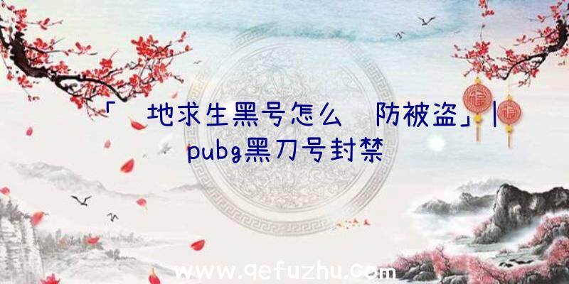 「绝地求生黑号怎么预防被盗」|pubg黑刀号封禁